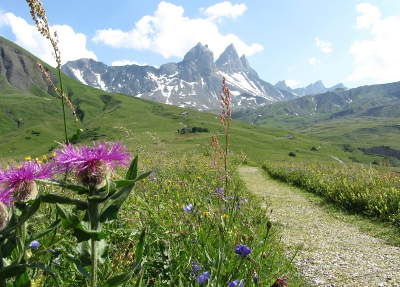 Tour des Aiguilles d’Arves – Étape 1 – du Col du Mollard au Chalet de la Croë