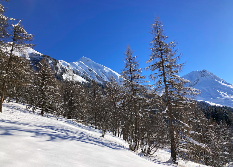 Découverte des paysages enneigés – Randonnée en raquettes