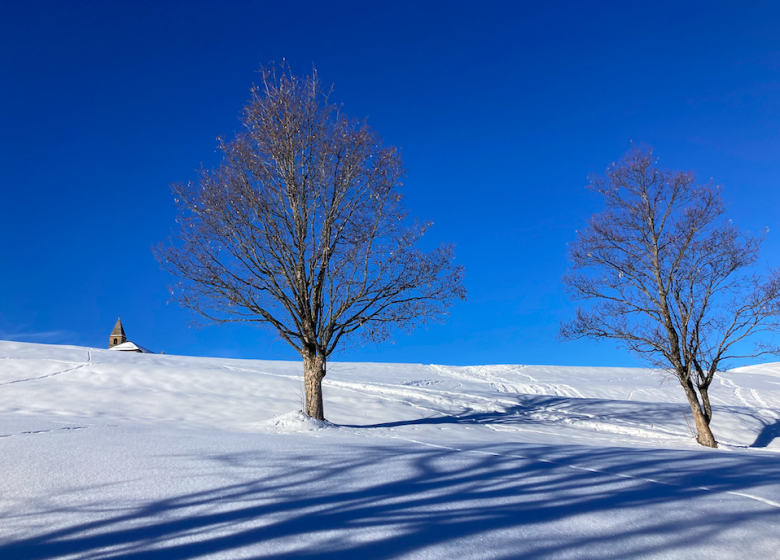 Découverte des paysages enneigés – Randonnée en raquettes