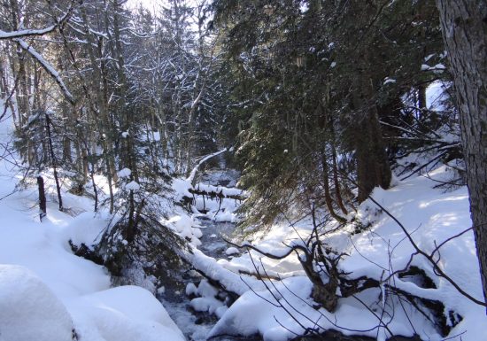 Itinéraire raquette – Le sentier des Paquiers (2)