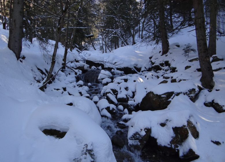 Itinéraire raquette – Le sentier des Paquiers (2)