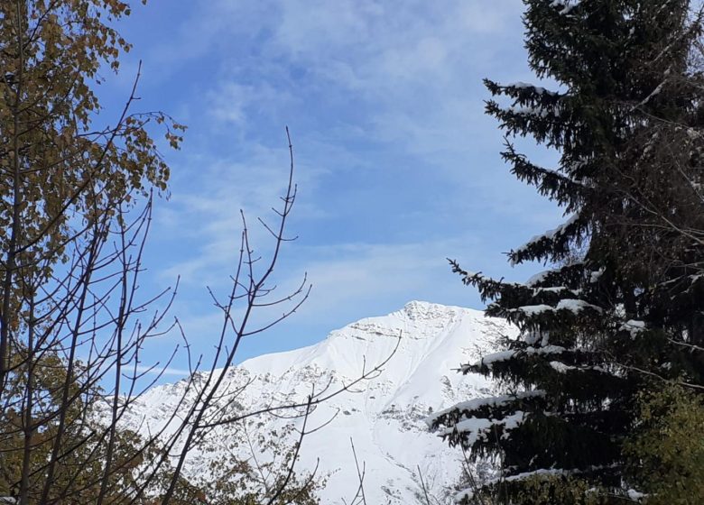 LES  LACETS DE MONTVERNIER