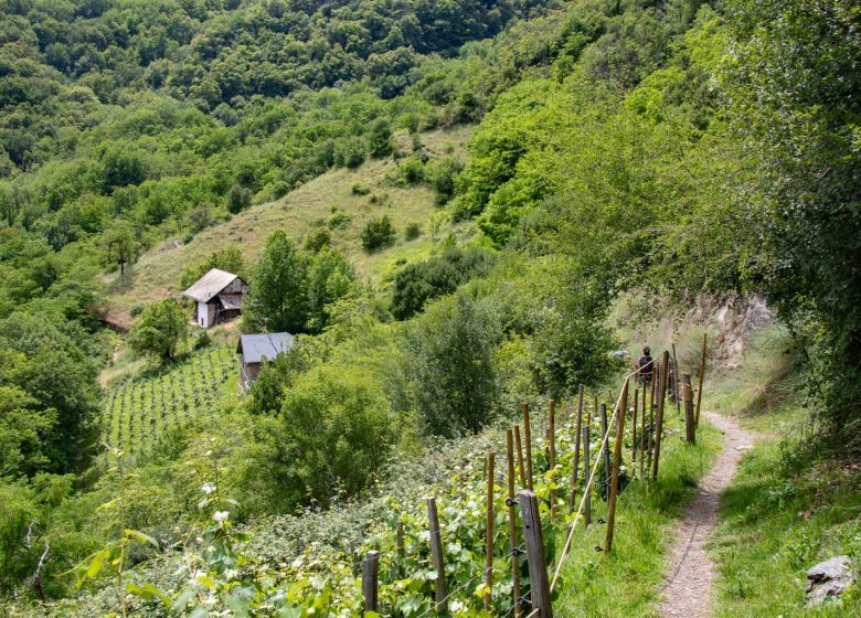 Les Hauts de Saint-Jean