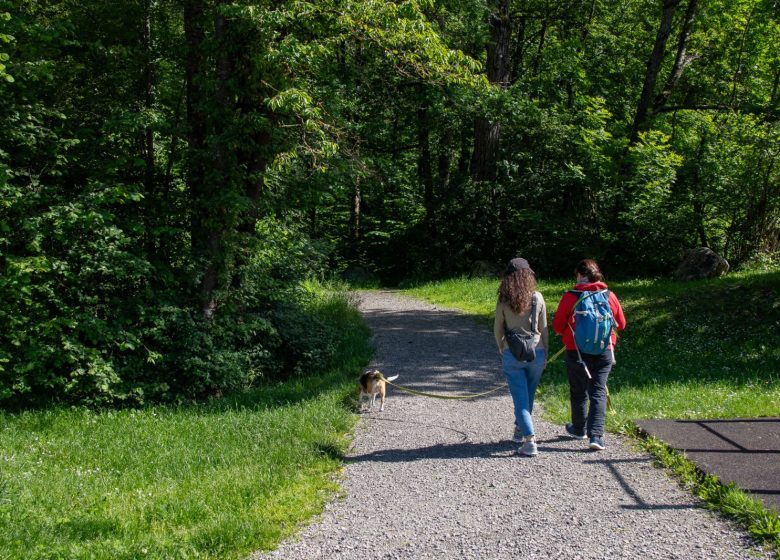 Promenade confort – Zone de loisirs de la Combe