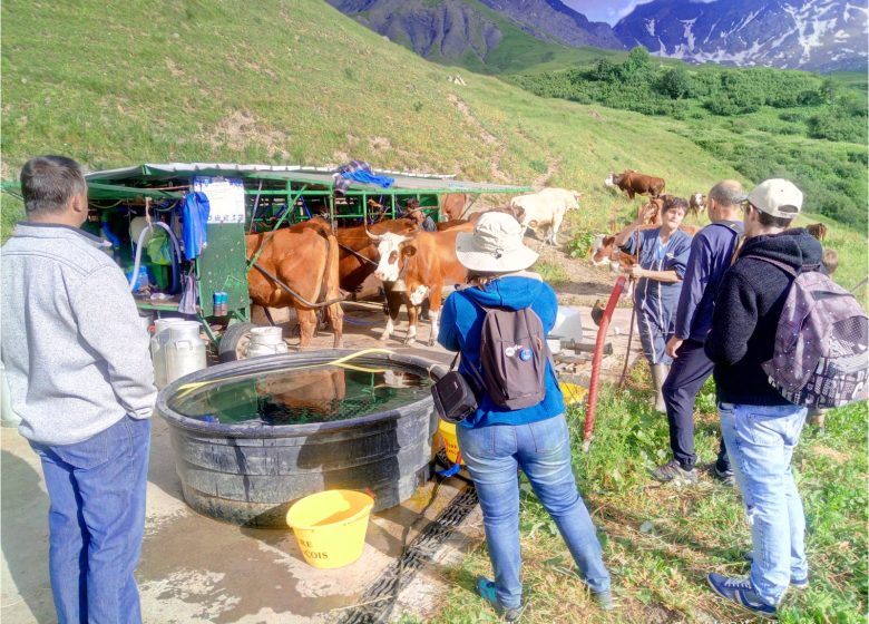 Balade gourmande en alpage