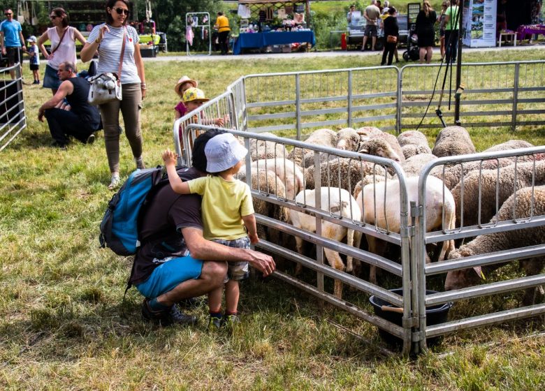 Fête de la brebis de Pontamafrey