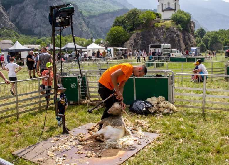 Fête de la brebis de Pontamafrey