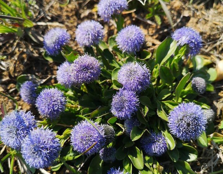 LES  LACETS DE MONTVERNIER