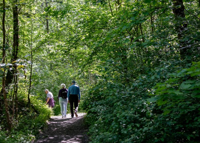 Promenade confort – Zone de loisirs de la Combe