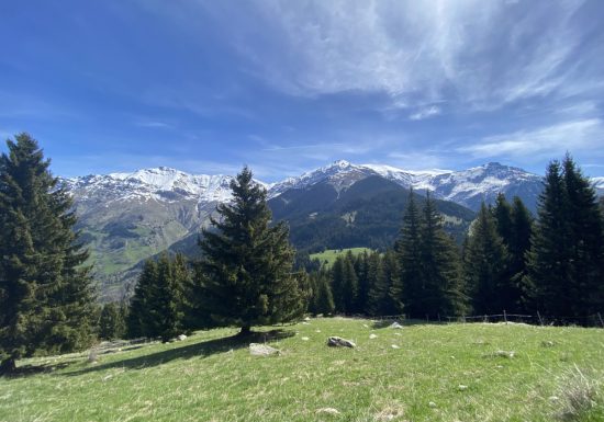 Trail – Tour de l’Armélaz