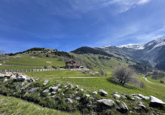 Trail – Tour de l’Armélaz + Indrion