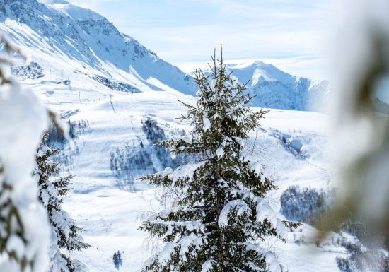 Randonnée Raquette Les Côtes de Bonvillard