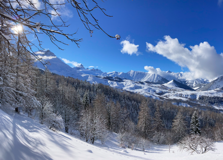 Découverte des paysages enneigés – Randonnée en raquettes